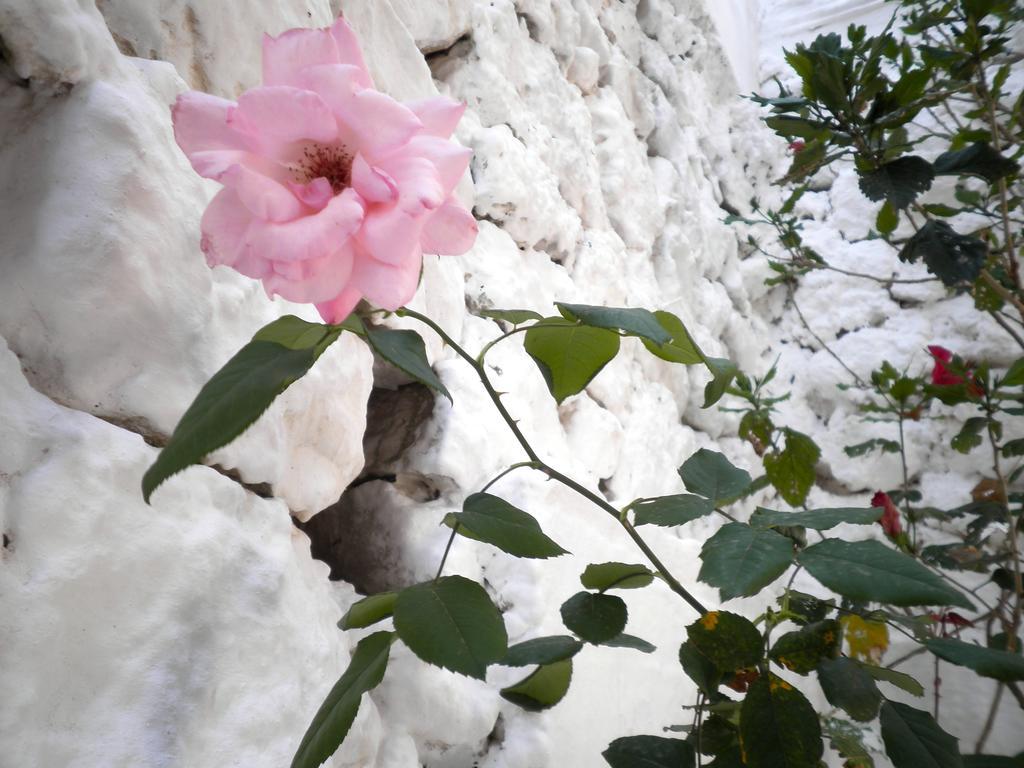 Kostas Studios II Vasilikí Dış mekan fotoğraf