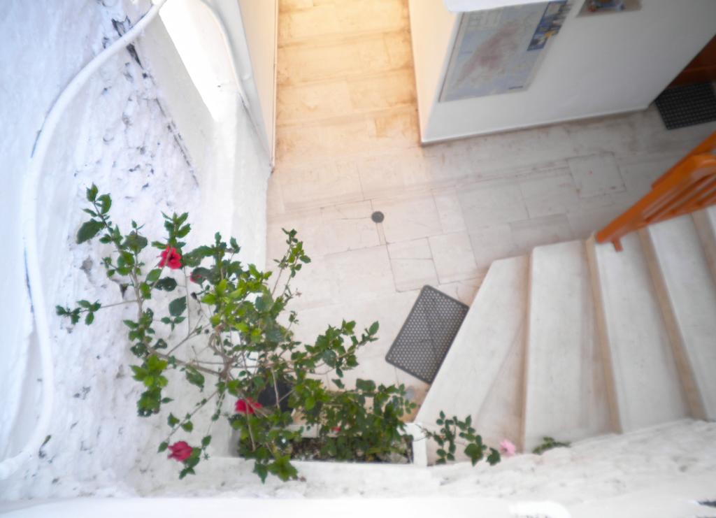 Kostas Studios II Vasilikí Dış mekan fotoğraf
